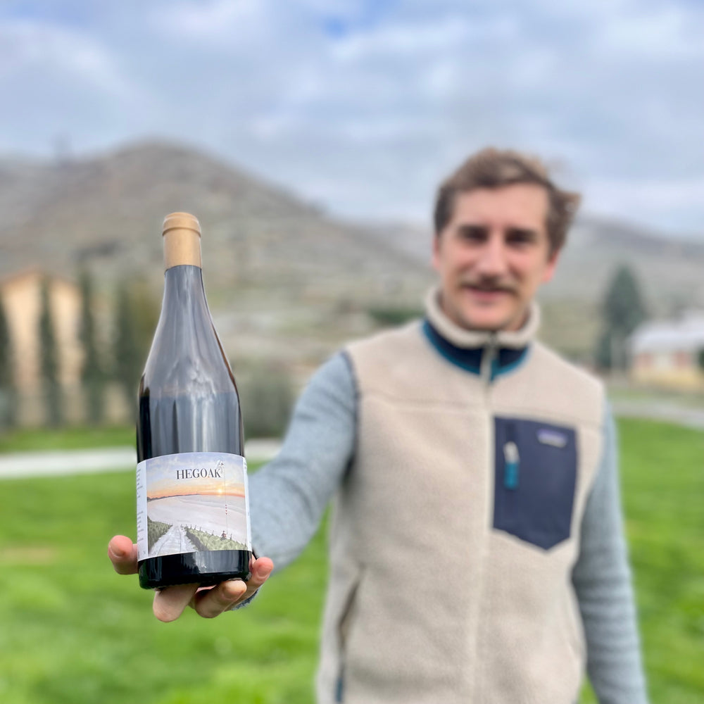 Hegoak 2020 - Vin de France | Martin Jabot